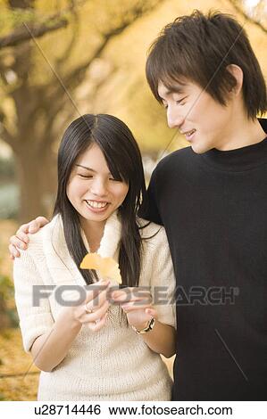 Young couple looking at yellow ginkgo leaf View Large Photo Image Stock Photograph - Young couple looking at yellow ginkgo leaf. Fotosearch