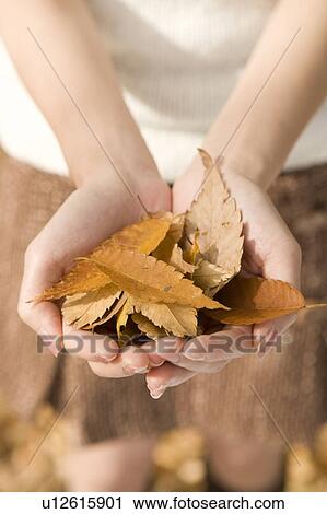 Stock Image - Young woman holding fallen leaves. Fotosearch