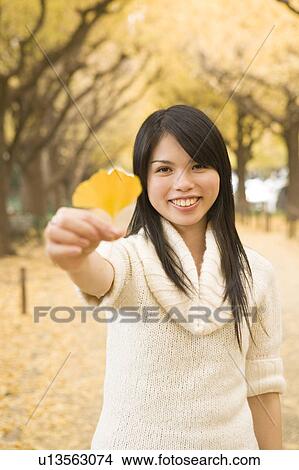 Young woman holding yellow ginkgo leaf View Large Photo Image Picture - Young woman holding yellow ginkgo leaf. Fotosearch