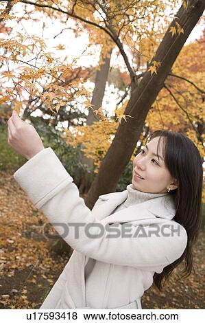 Young woman touching maple leaf View Large Photo Image Stock Photo - Young woman touching maple leaf. Fotosearch