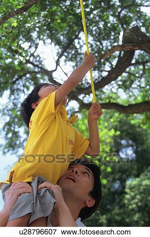 A boy trying to catch insects View Large Photo Image Stock Photo - A boy trying to catch insects. Fotosearch
