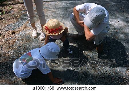 Family looking for something on ground View Large Photo Image Stock Photo - Family looking for something on ground. Fotosearch