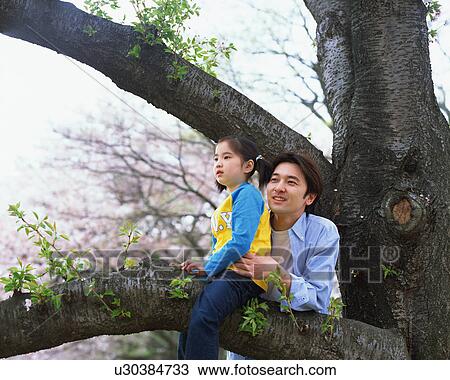 Girl sitting on a tree View Large Photo Image Stock Image - Girl sitting on a tree. Fotosearch