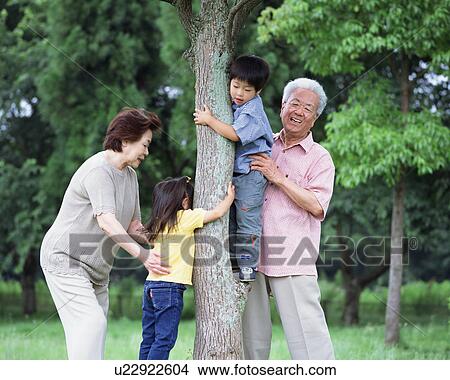 Picture - A boy tying to climb up a tree. Fotosearch