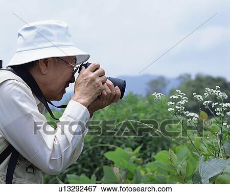 A senior man taking a photograph View Large Photo Image Stock Photo - A senior man taking a photograph. Fotosearch