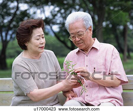 Senior couple looking at flower View Large Photo Image Stock Image - Senior couple looking at flower . Fotosearch