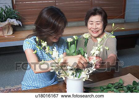 Two woman arranging flower View Large Photo Image Stock Photo - Two woman arranging flower. Fotosearch