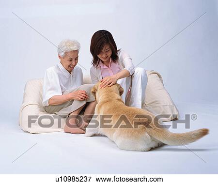 Portrait of a family View Large Photo Image Stock Photo - Portrait of a family. Fotosearch
