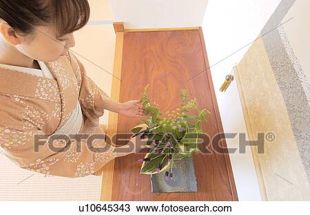 A woman in kimono arranging flowers View Large Photo Image Stock Image - A woman in kimono arranging flowers. Fotosearch