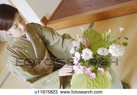 A woman in kimono arranging flowers View Large Photo Image Stock Image - A woman in kimono arranging flowers. Fotosearch
