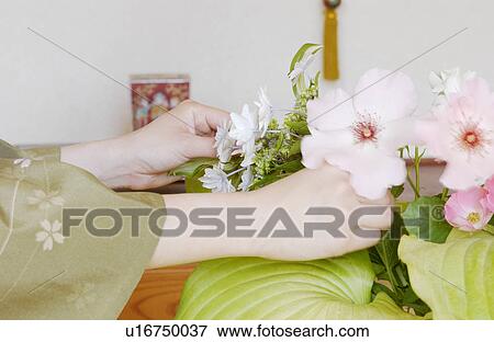 A woman in kimono arranging flowers View Large Photo Image Stock Photo - A woman in kimono arranging flowers. Fotosearch