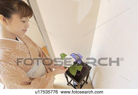 A woman in kimono watching flowers in vase View Large Photo Image Stock Photograph - A woman in kimono watching flowers in vase. Fotosearch