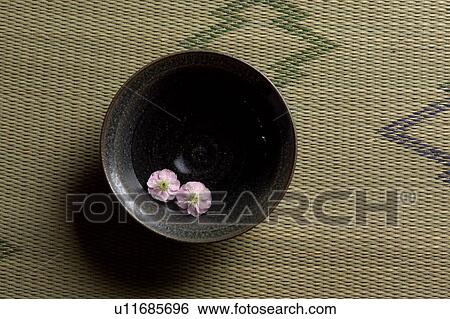 Flower floating on a cup View Large Photo Image Stock Photograph - Flower floating on a cup. Fotosearch