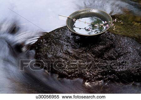Flower on a tea cup View Large Photo Image Stock Photography - Flower on a tea cup. Fotosearch