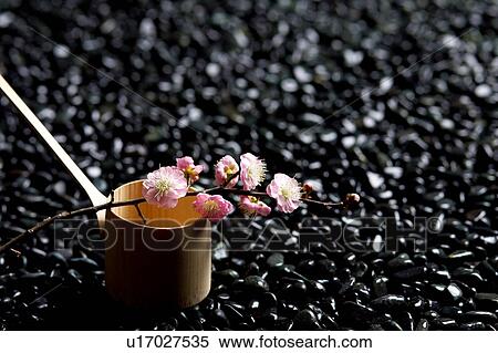 Stock Photography - Japanese plum and a ladle. Fotosearch