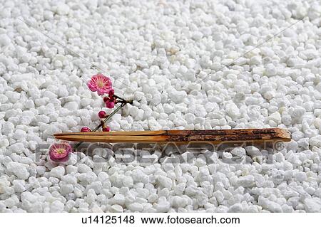 Japanese plum and chopsticks View Large Photo Image Stock Photo - Japanese plum and chopsticks. Fotosearch