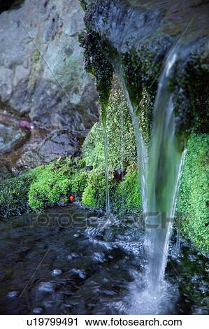 Stock Image - Water running in a garden. Fotosearch