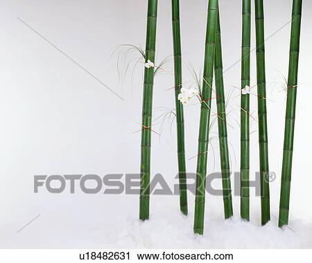 Stock Image - Flower arranged with bamboo trunks. Fotosearch