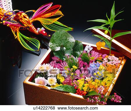 Stock Photo - Flower arrangement in a box. Fotosearch