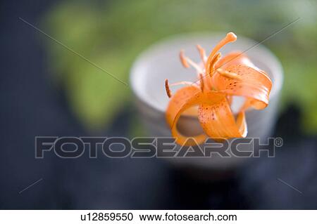 Stock Image - Cup. Fotosearch