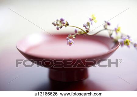 Flower arrangement View Large Photo Image Stock Photograph - Flower arrangement. Fotosearch
