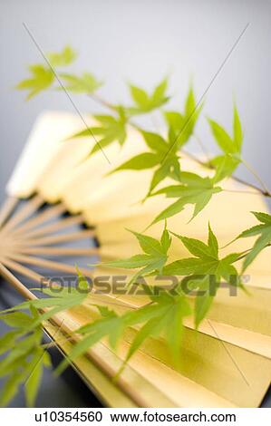 Folding fan View Large Photo Image Stock Image - Folding fan. Fotosearch