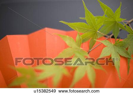 Stock Photo - Folding fan. Fotosearch