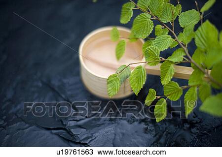 Stock Image - Ladle. Fotosearch
