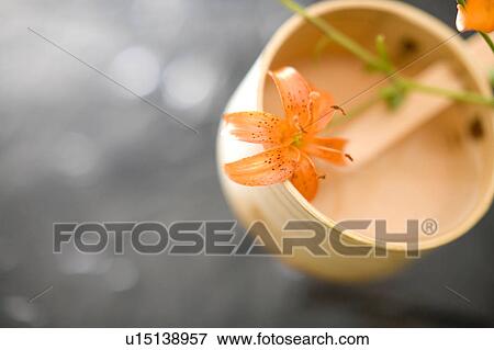 Stock Photo - Ladle. Fotosearch