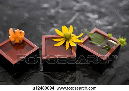 Picture - Sake. Fotosearch