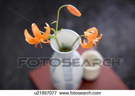 Stock Photo - Sake. Fotosearch