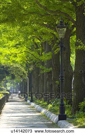 Gas lamp View Large Photo Image Stock Image - Gas lamp. Fotosearch