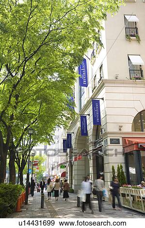 Omotesando View Large Photo Image Stock Photo - Omotesando. Fotosearch