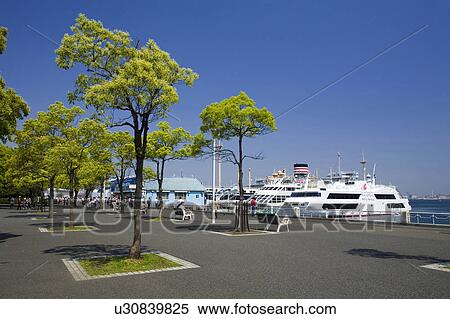 Stock Photography - Yamashita park. Fotosearch