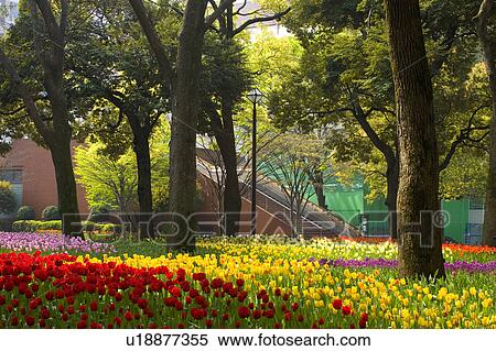 Stock Photography - Yokohama park. Fotosearch