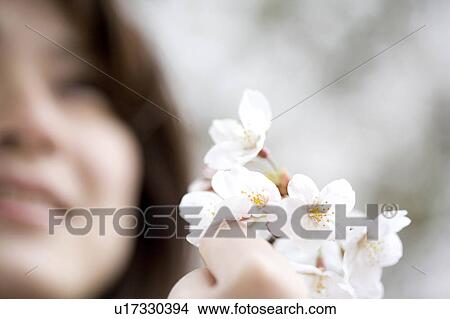 Picture - Cherry tree and woman. Fotosearch
