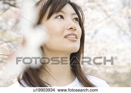 Picture - Cherry tree and woman. Fotosearch