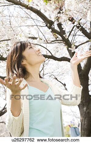 Cherry tree and woman View Large Photo Image Stock Image - Cherry tree and woman. Fotosearch