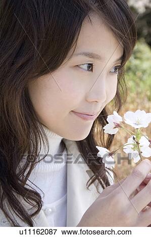 Stock Photo - Cherry tree and woman. Fotosearch