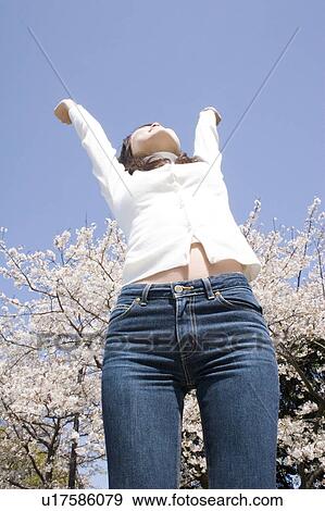 Cherry tree and woman View Large Photo Image Stock Photo - Cherry tree and woman. Fotosearch
