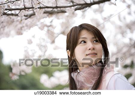 Woman under the cherry tree View Large Photo Image Picture - Woman under the cherry tree. Fotosearch