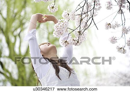 Stock Photo - Woman under the cherry tree. Fotosearch