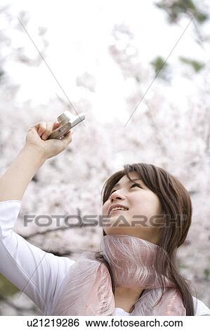 Woman under the cherry tree View Large Photo Image Stock Photograph - Woman under the cherry tree. Fotosearch