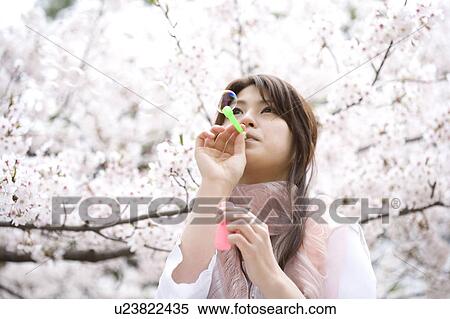 Woman under the cherry tree View Large Photo Image Stock Photography - Woman under the cherry tree. Fotosearch