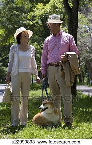 Mature couple walking dog View Large Photo Image Stock Image - Mature couple walking dog. Fotosearch