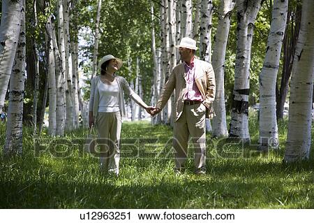 Mature couple walking in silver birch grove View Large Photo Image Stock Image - Mature couple walking in silver birch grove. Fotosearch