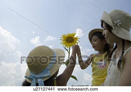 Stock Image - Mother and daughters looking at sunflower. Fotosearch