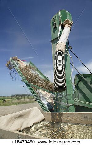 A combine harvester View Large Photo Image Stock Image - A combine harvester. Fotosearch