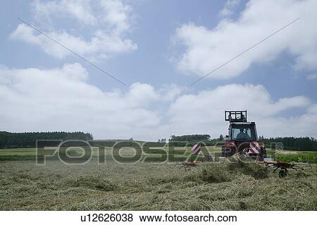 A farmer working in field View Large Photo Image Stock Photo - A farmer working in field. Fotosearch