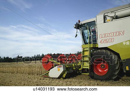 Stock Image - Combine harvester harvesting wheat in field. Fotosearch